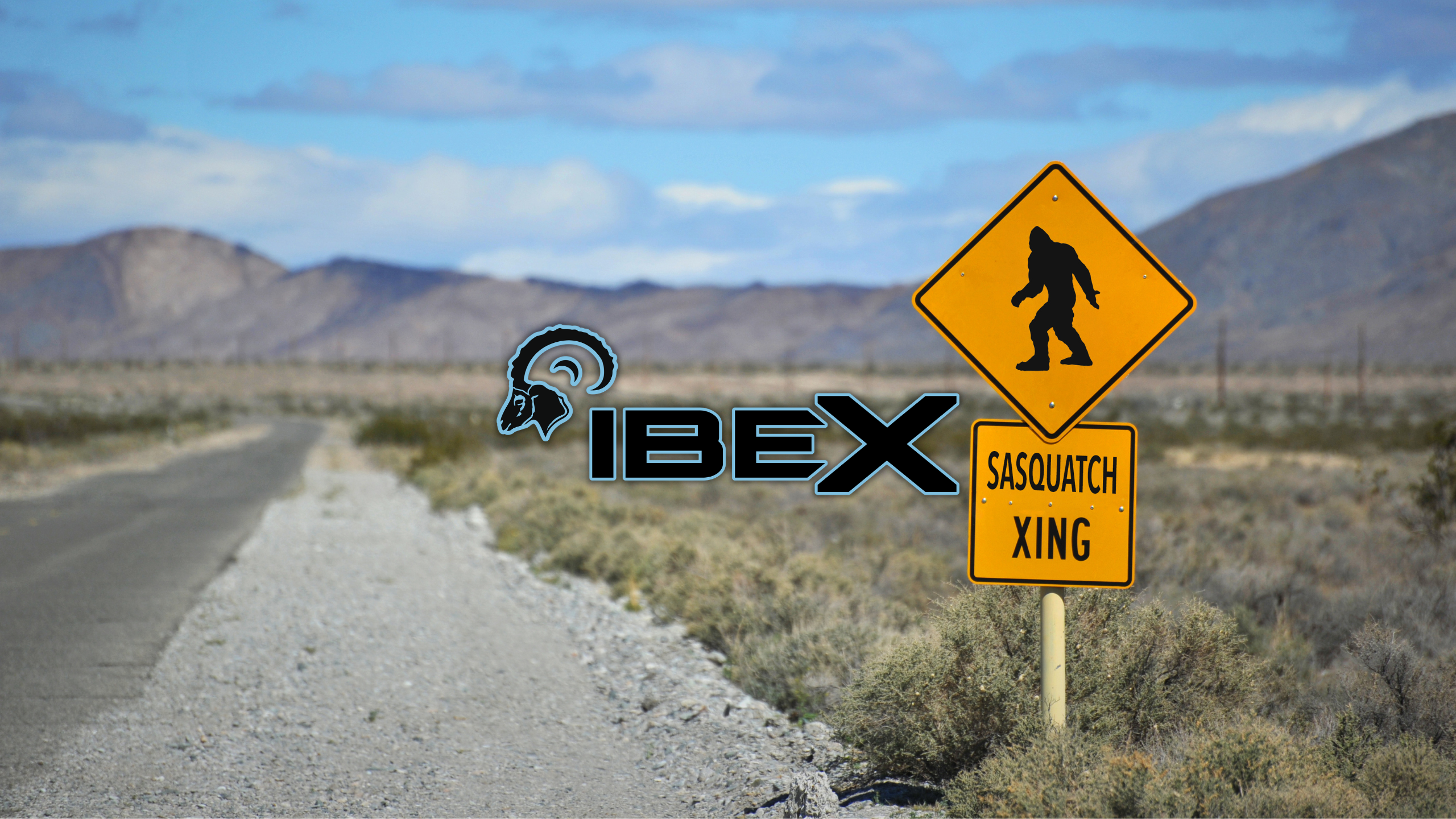 IbexRVs